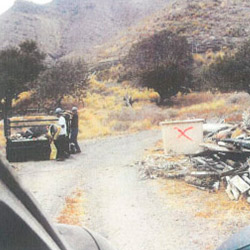 Limpieza, reforestación y plantación de los cercados agrícolas