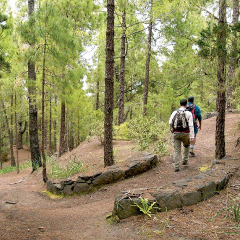Parque natural de Tamadaba