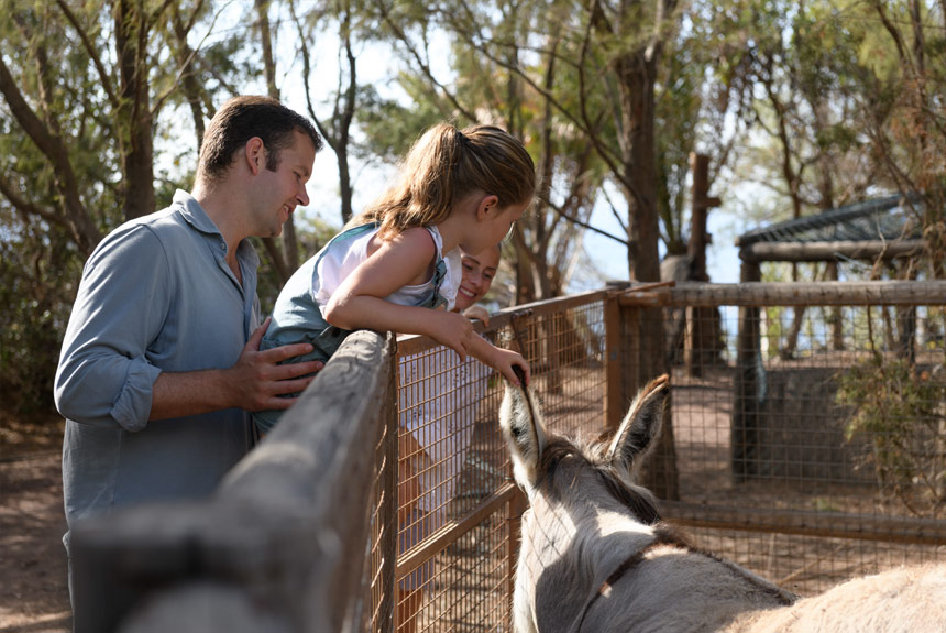 VISITA A LOS ANIMALES