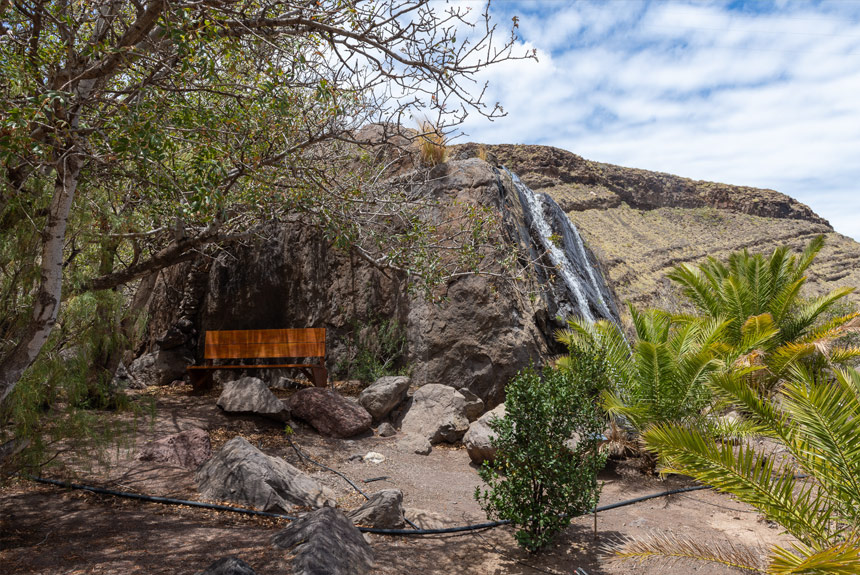 VISITA EL JARDÍN DE SITIO