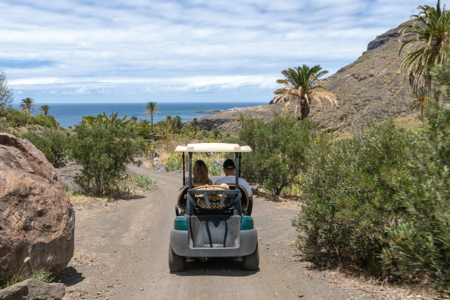 BUGGIES ELÉCTRICOS