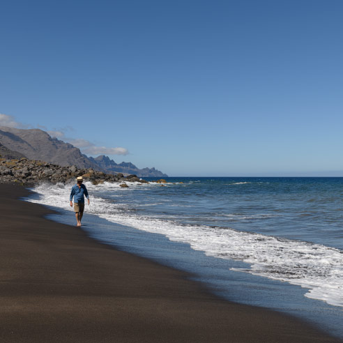Playas salvajes